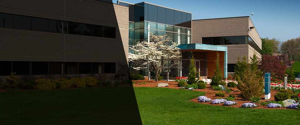 Dover Plains Landscapers