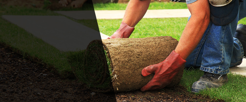 Dover Plains Landscapers